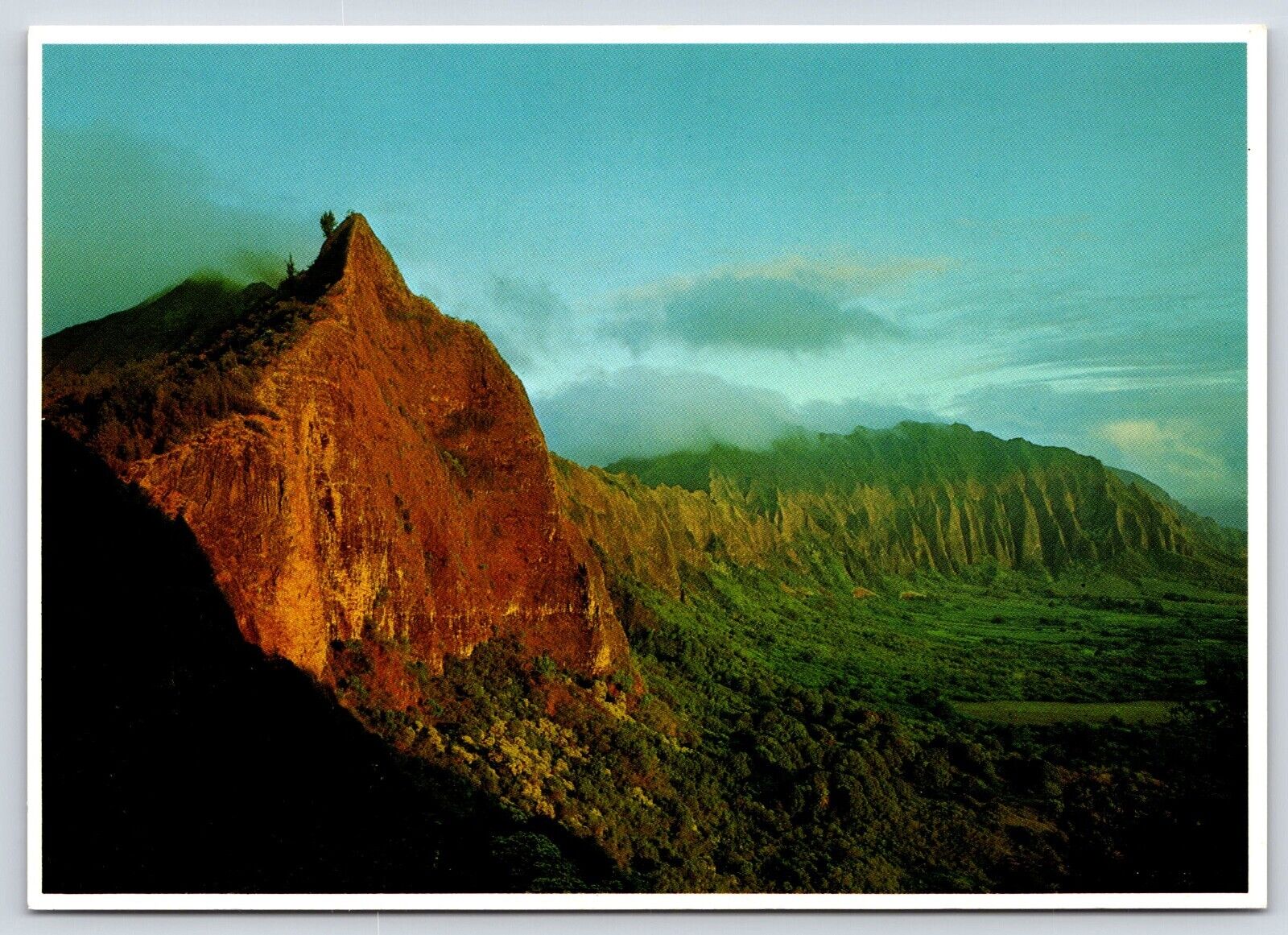 Hawaii O\'aho Pali Kamehameha Vintage Postcard Continental