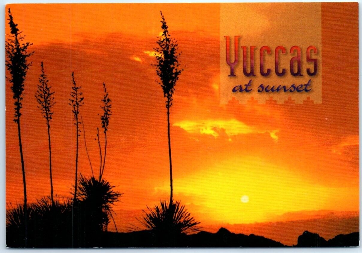 Postcard - Yuccas at Sunset