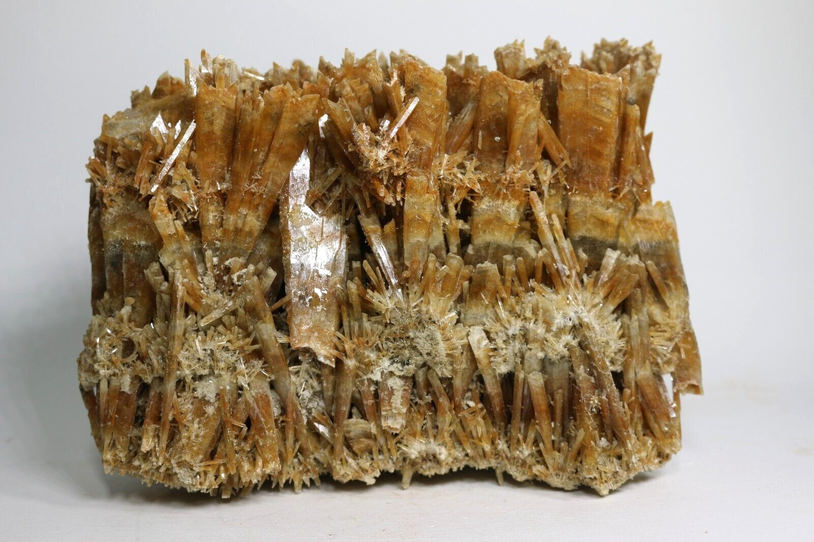 HUGE Golden Selenite Crystal Cluster, Australia SEL89