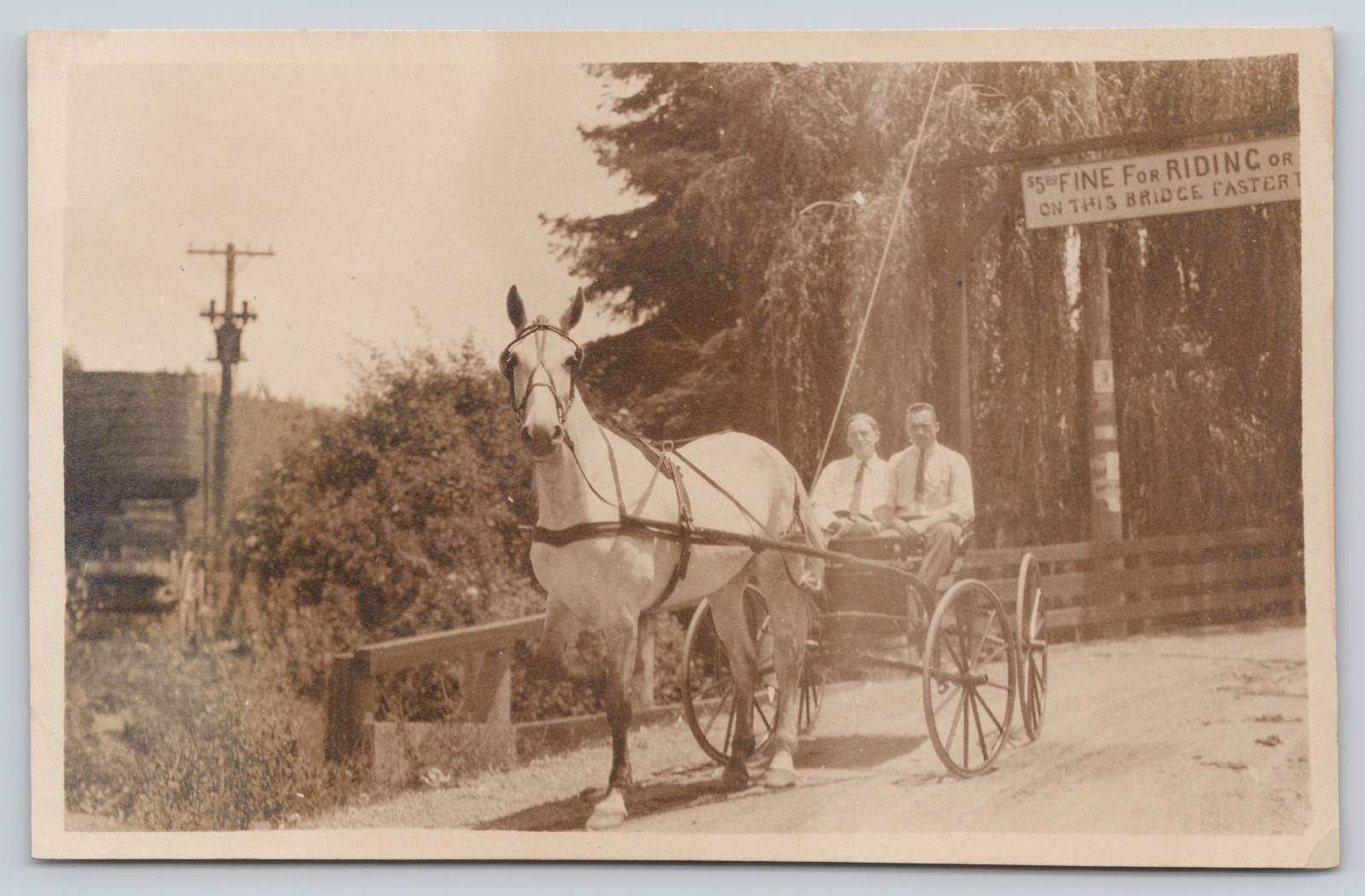 RPPC Two Men In Carriage, SIGN 5.00 Fine (for going faster) On This Bridge A1066