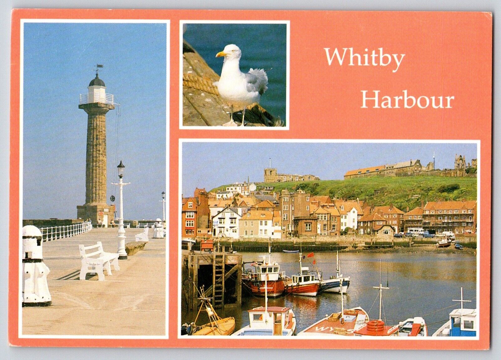 Postcard England Whitby North Yorkshire West Pier Local Inhabitant Harbour