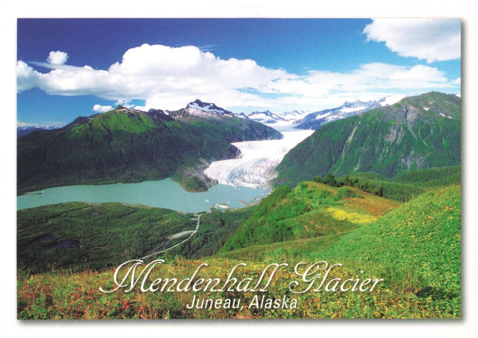 Postcard AK Juneau Mendenhall Glacier Valley from Thunder Mountain