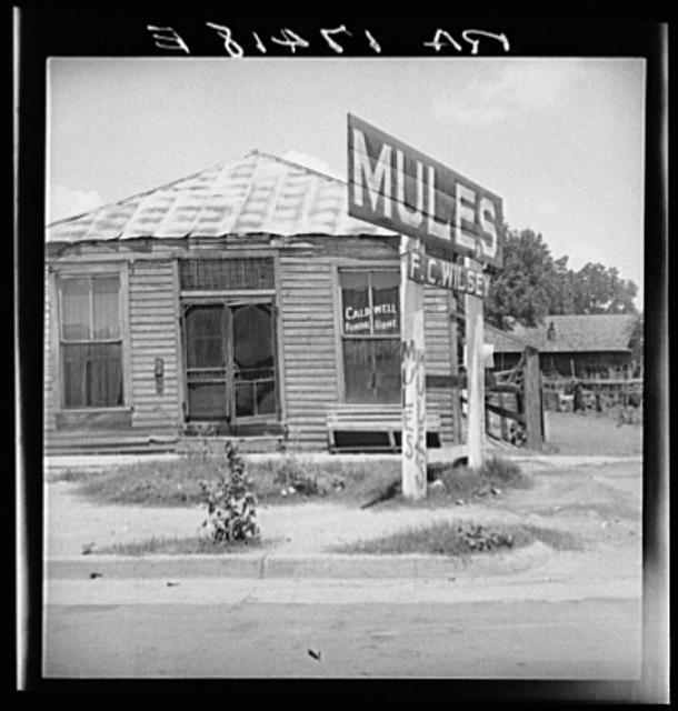 Services for Negroes in a Mississippi Delta town. Leland, Mississippi