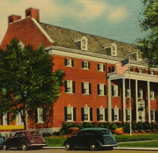 The Patchogue Hotel Long Island NY VTG Postcard Nice Street View Cars Flag