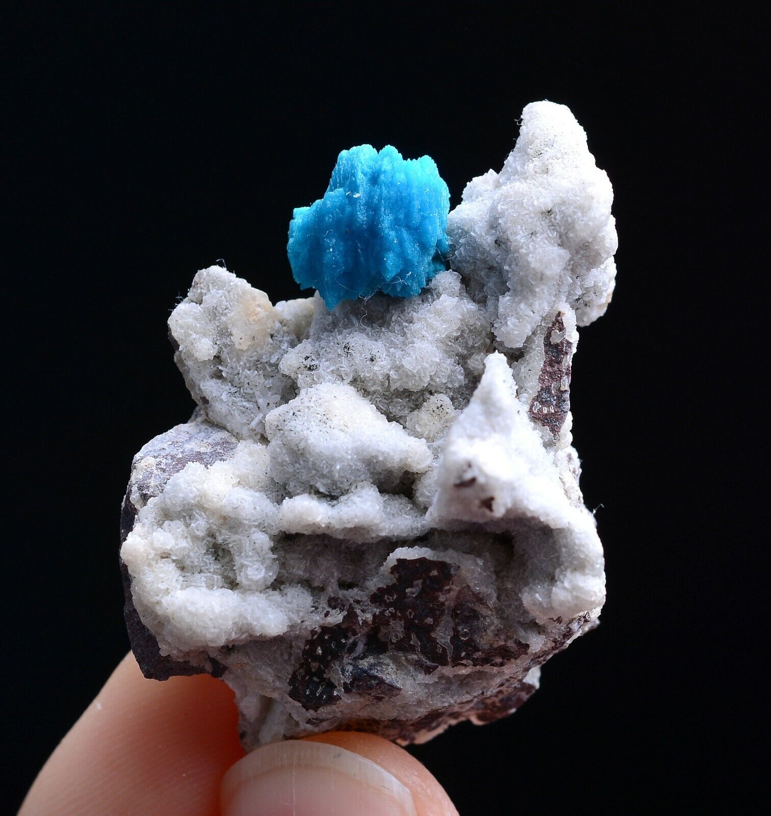 14g Natural CAVANSITE & ZEOLITE Crystal Symbiotic Mineral Specimen/ India