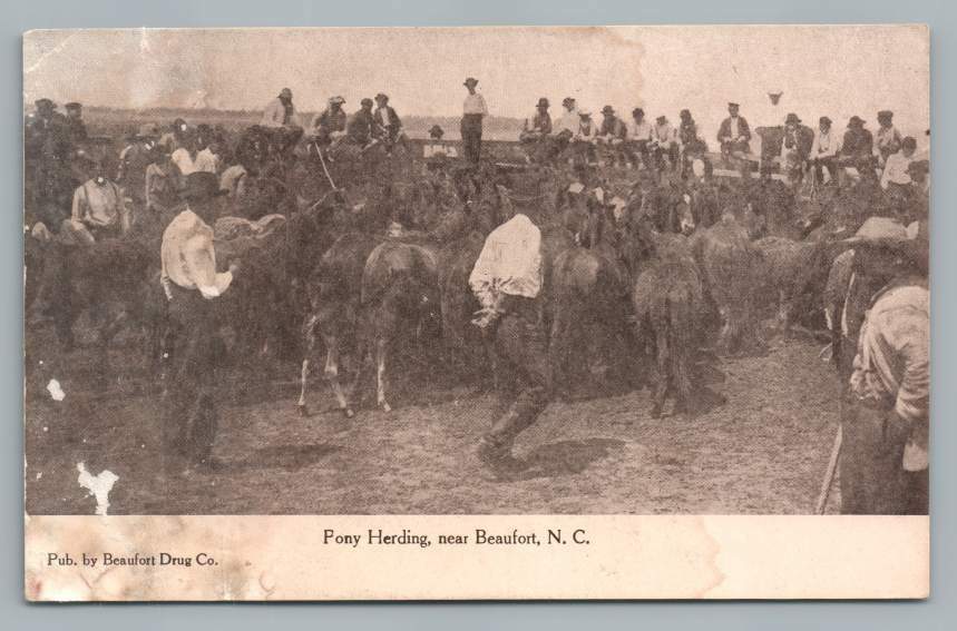 Pony Herding BEAUFORT North Carolina~Rare Antique Horse Postcard (Damaged) 1910s