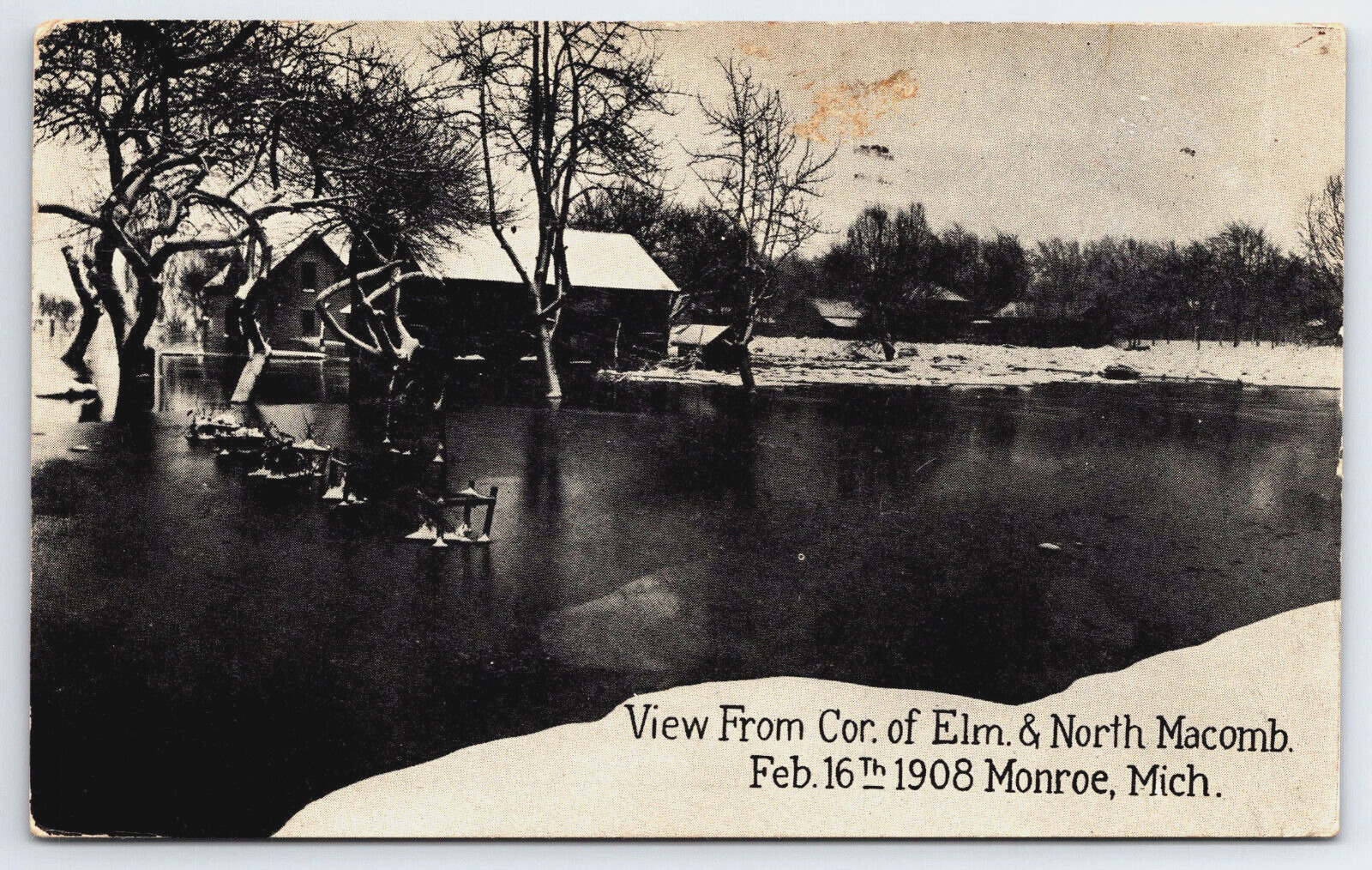 Vintage Postcard MI Monroe Flood Elm North Macomb c1908 -*4137