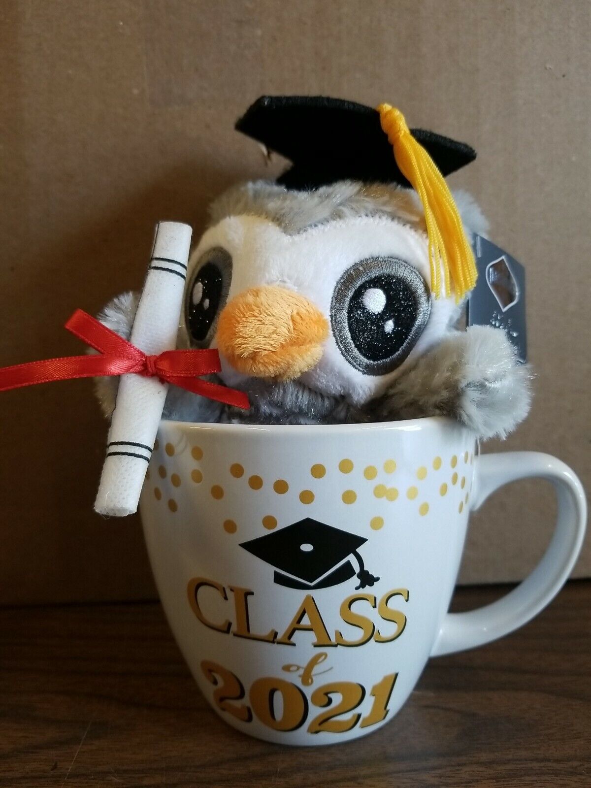 Dashing Fine Gifts Graduation Plush Owl In Class Of 2021 Mug Gift