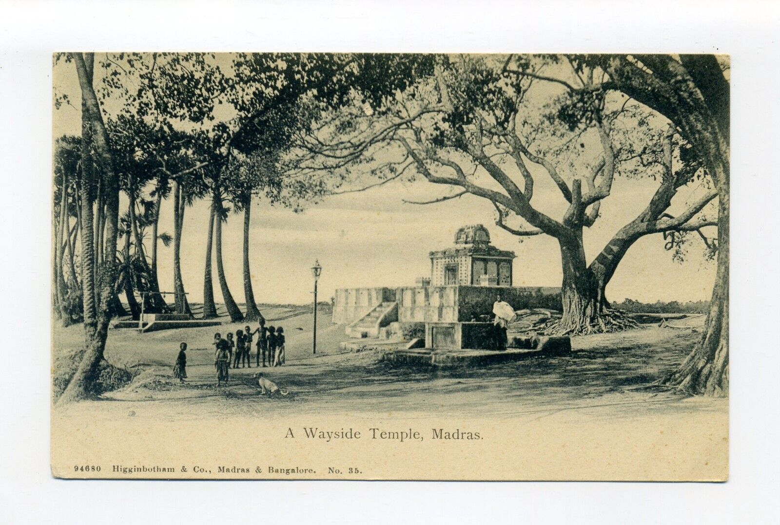 India, Chennai postcard, people & dog outside Wayside Temple under large tree