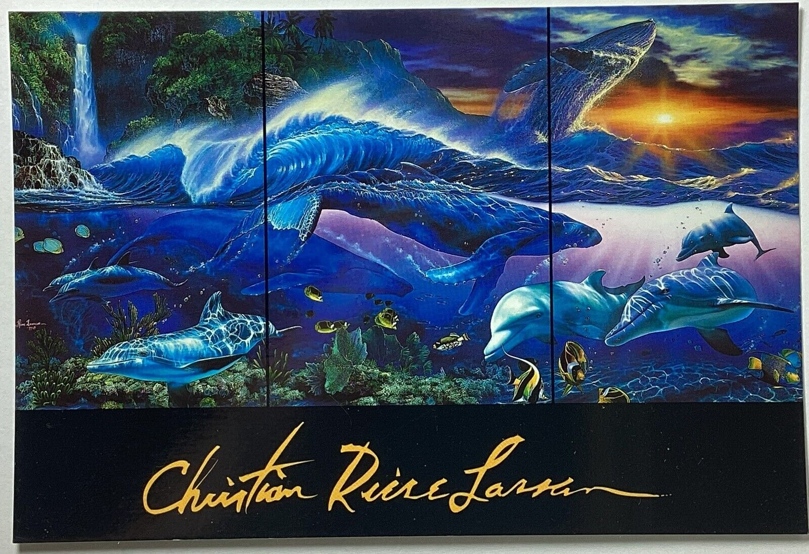 Underwater Life Ancient Rhythms Christian Lassen Vintage Art Postcard Unposted