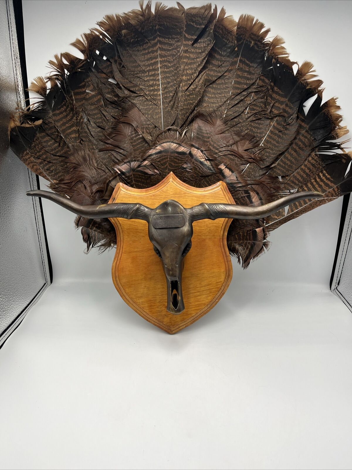 Chicken Ranch La Grange Texas Longhorn Skull Hat/Belt Holder EXTREMELY RARE