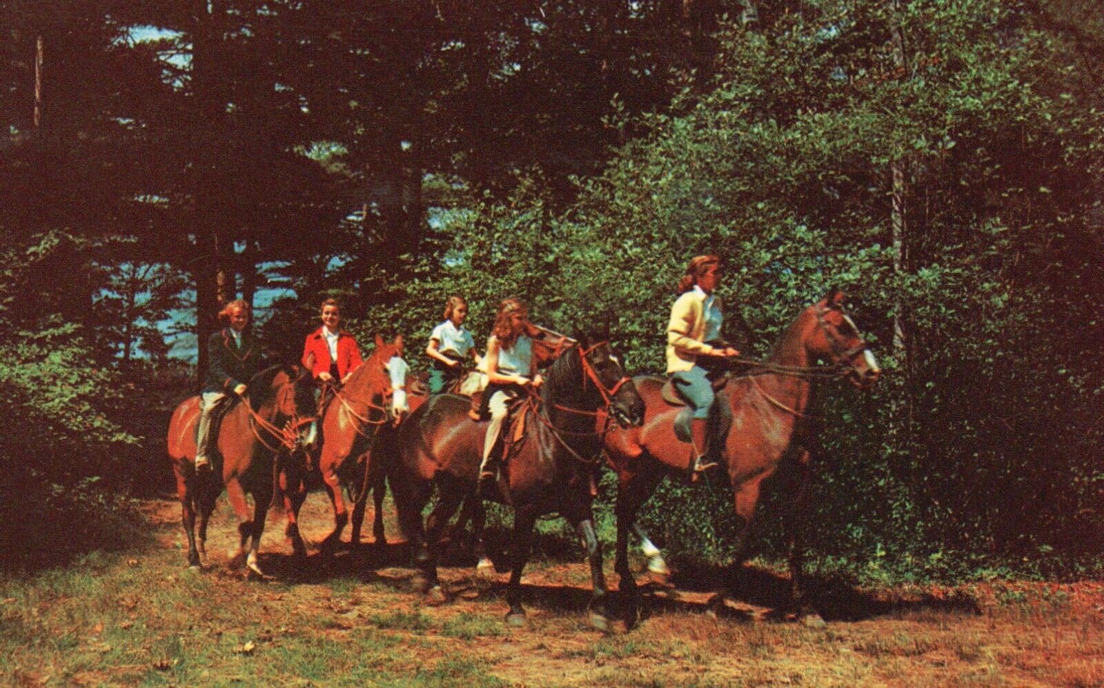 Postcard MN Sauk Centre Big Sauk Resort Horseback Riders Chrome Vintage PC J2052