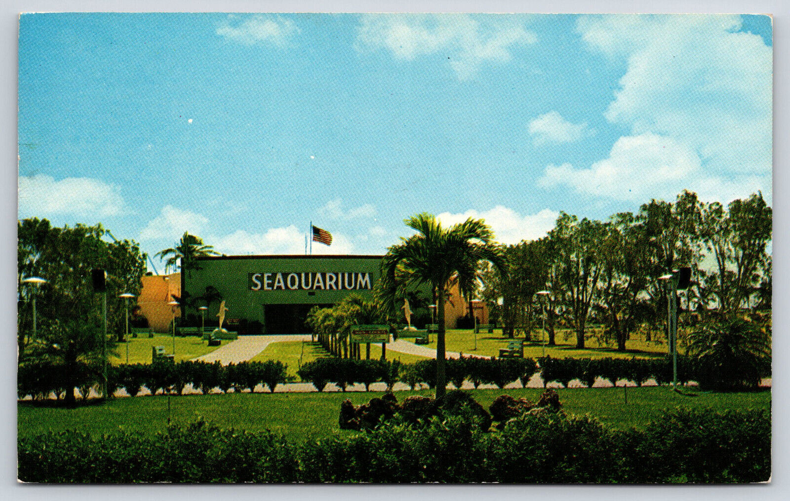 Miami FL-Florida, Seaquarium Sea Wonder Of The World, Vintage Antique Postcard