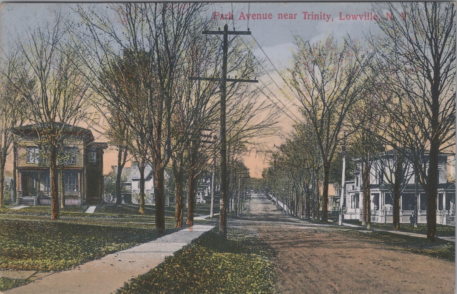 Lowville, NY: Park Avenue near Trinity telephone poles Vintage New York Postcard