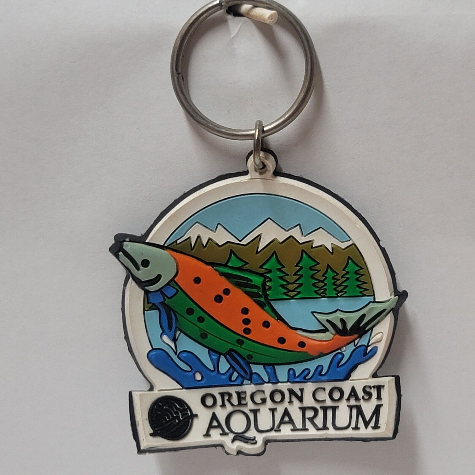 Vintage 90s Keychain Oregon Coast Aquarium Fish Mountain Key Ring Zipper Pull