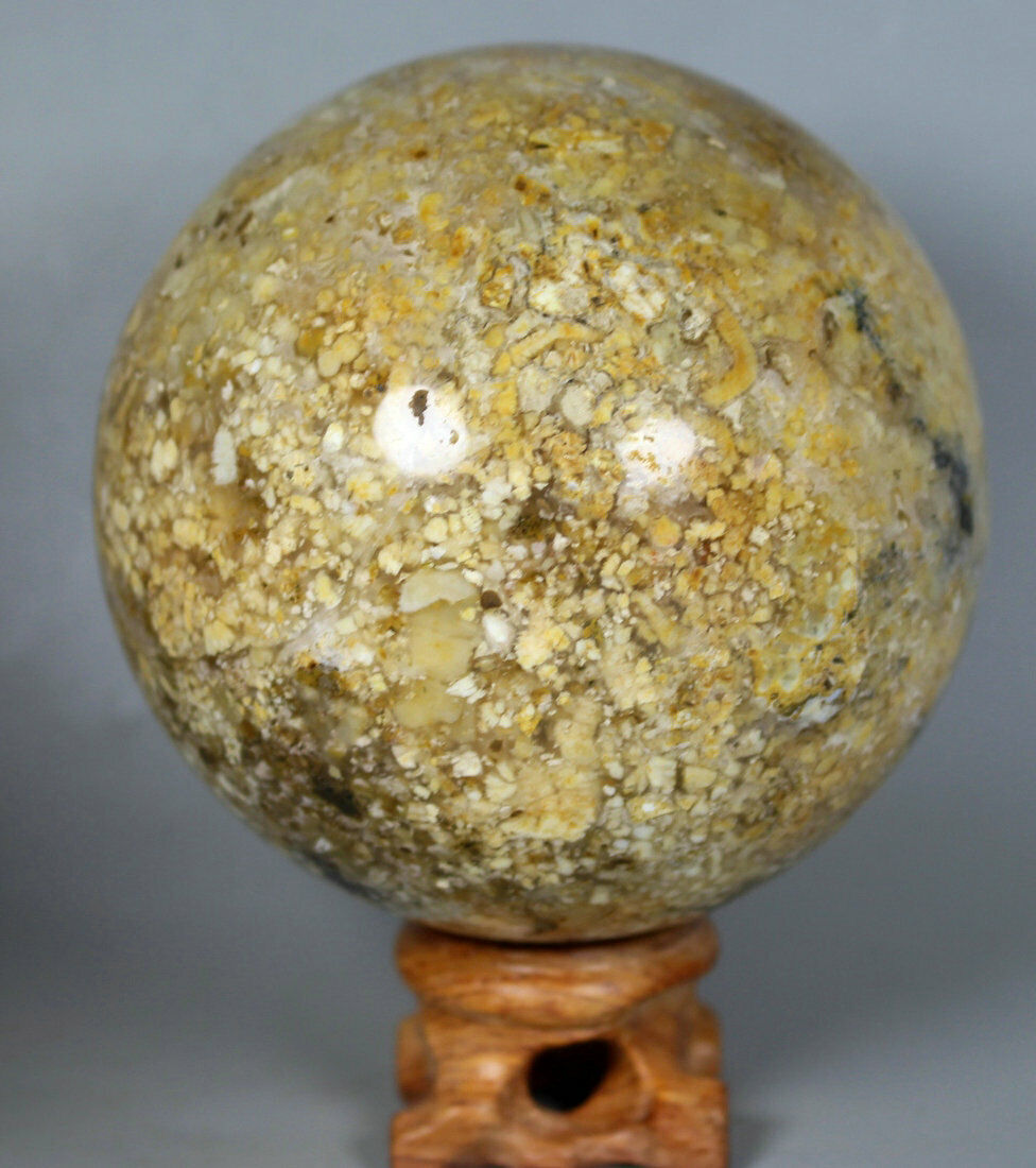 1.29lb NATURAL OCEAN JASPER Agate Geode CRYSTAL Ball Sphere HEALING / Stand