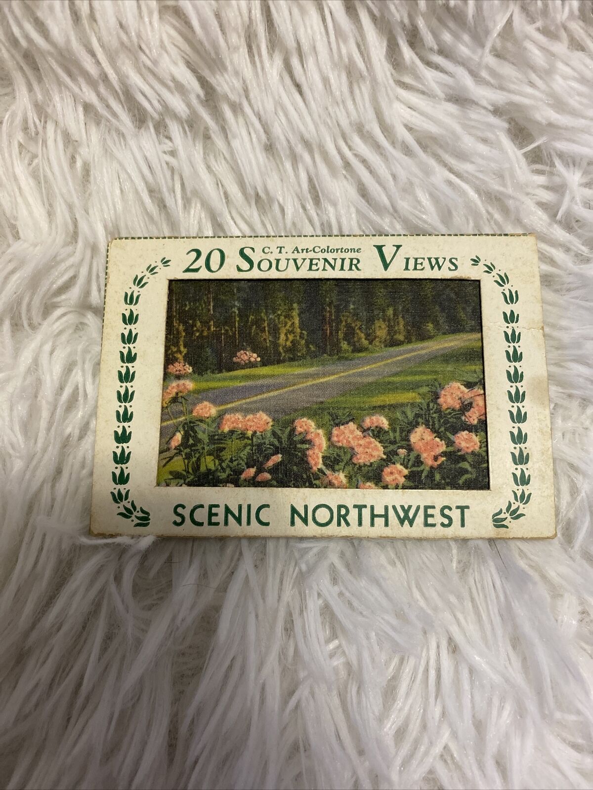 Souvenir Views Scenic Northwest 2.75” x 3.75”  Photo Cards