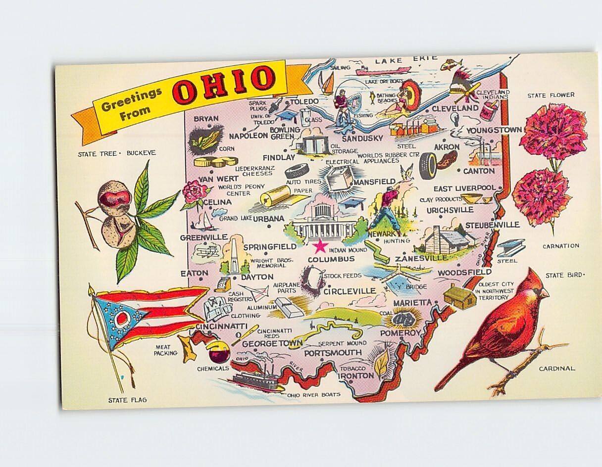 Postcard Buckeye State Map Greetings from Ohio USA