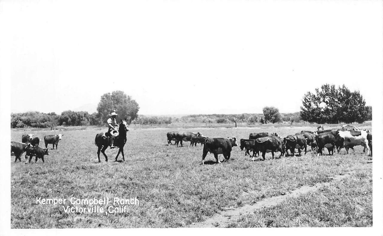 RPPC KEMPER CAMPBELL RANCH Victorville, CA Cowboy Cattle c1950s Vintage Postcard