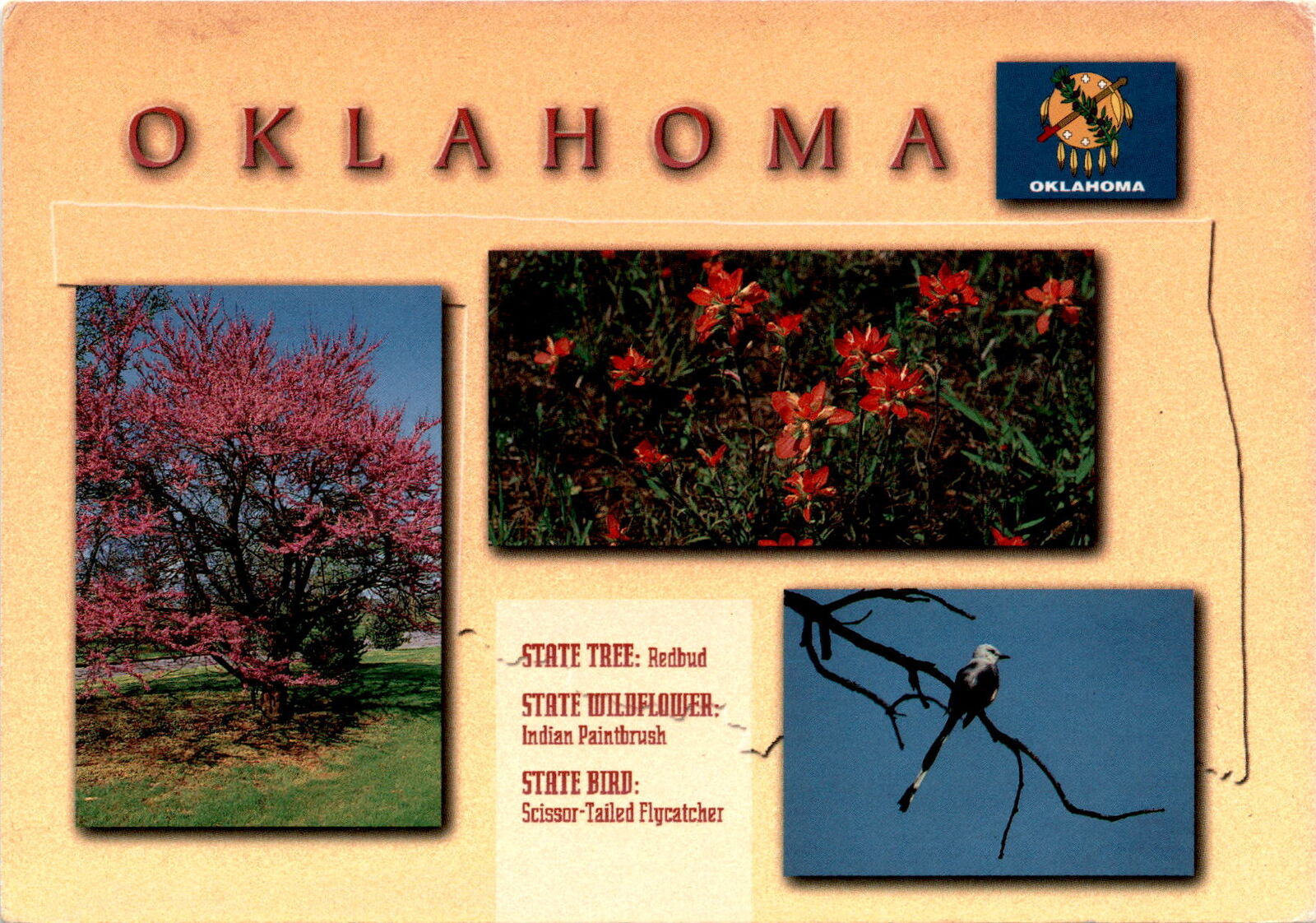 Discover Oklahoma\'s natural beauty in stunning photos. postcard