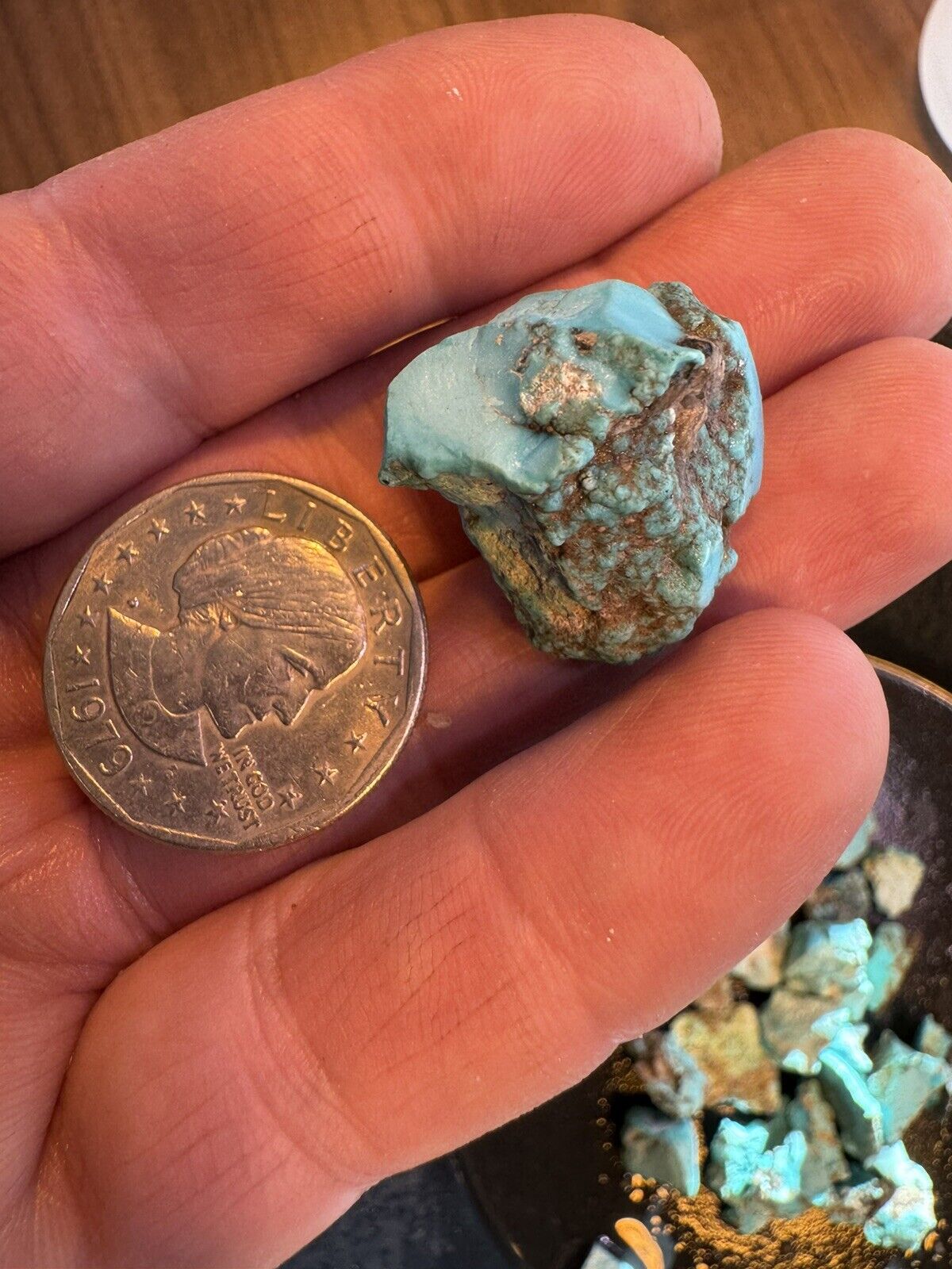 Natural Gem Hard Turquoise/Old Bell Nugs  55 grams. Mix: SB, Castle Dome, more.