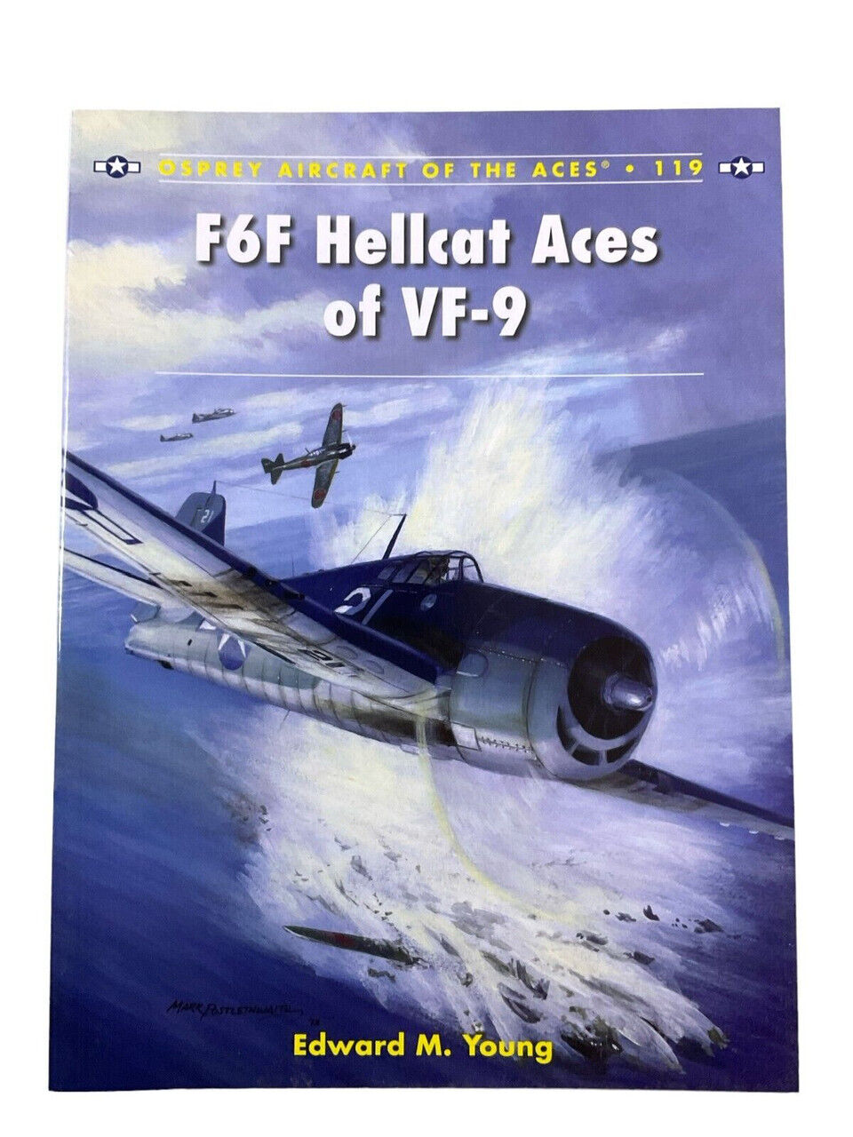 WW2 US USN USMC F6F Hellcat Aces of VF-9 119 Osprey Soft Cover Reference Book