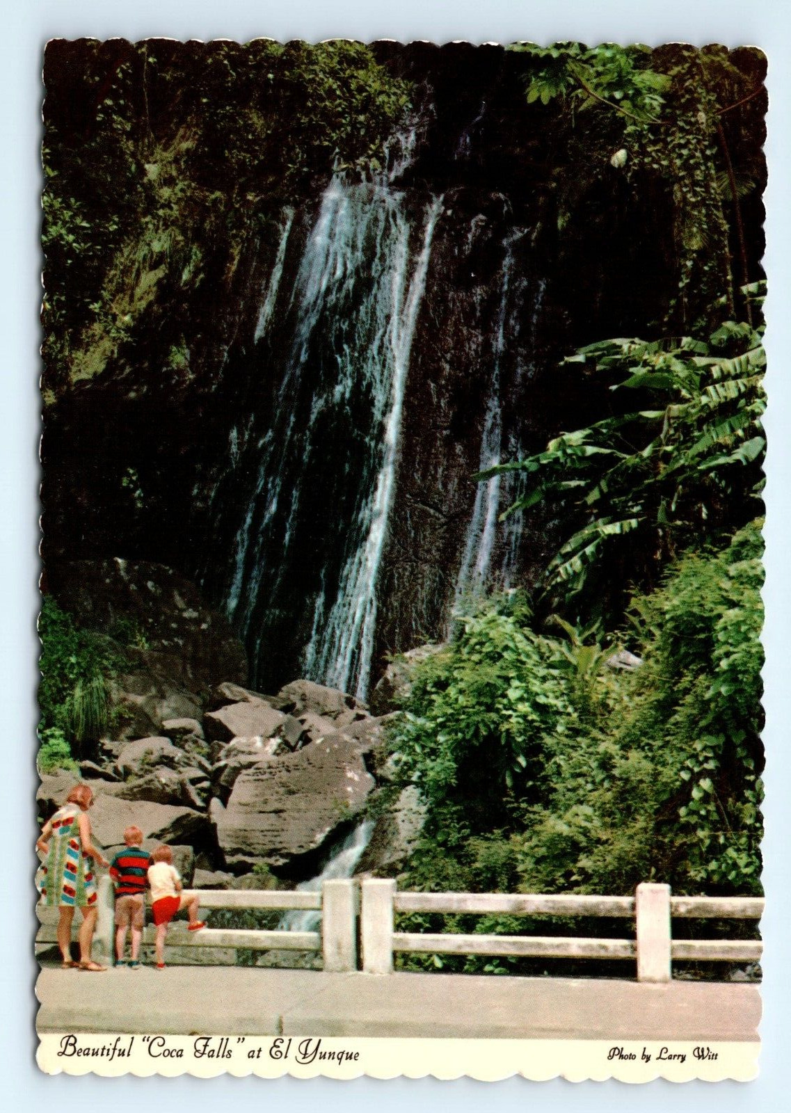 Coca Falls El Yunque Luquillo PR Postcard