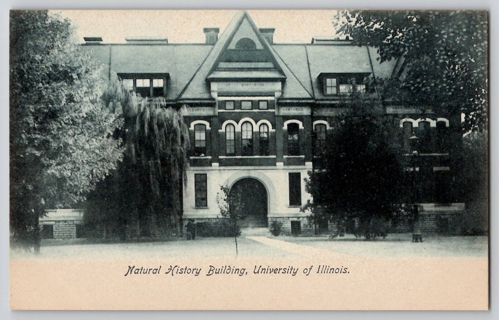Natural History Building University Illinois Champaign-Urbana IL Postcard 1910s