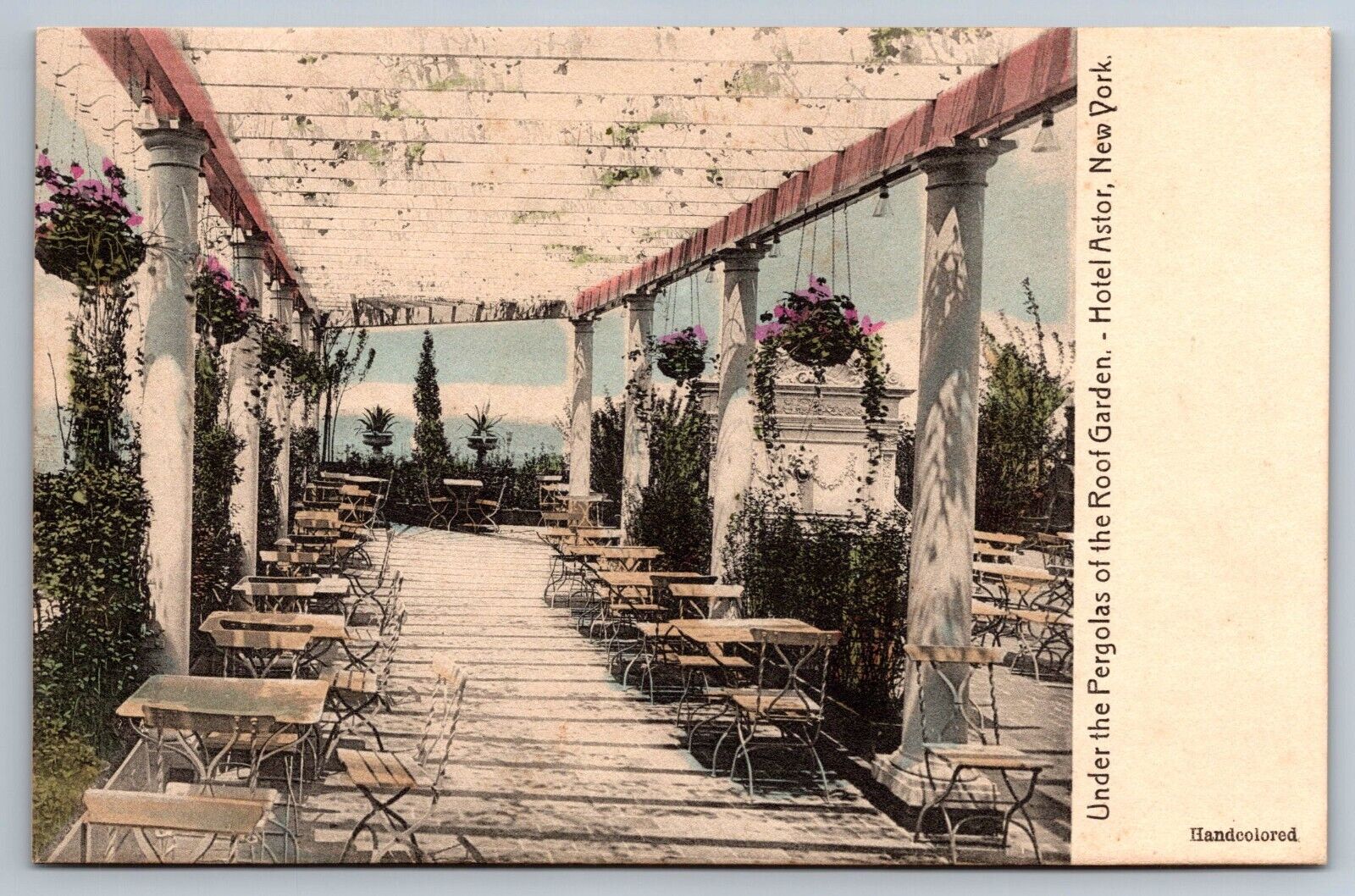 New York City Pergolas of Roof Garden Hotel Astor color Rotograph Postcard