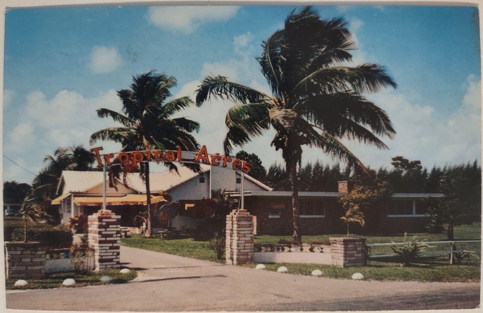 Vintage Tropical Acres Restaurant Dania Florida Chrome Postcard Unposted