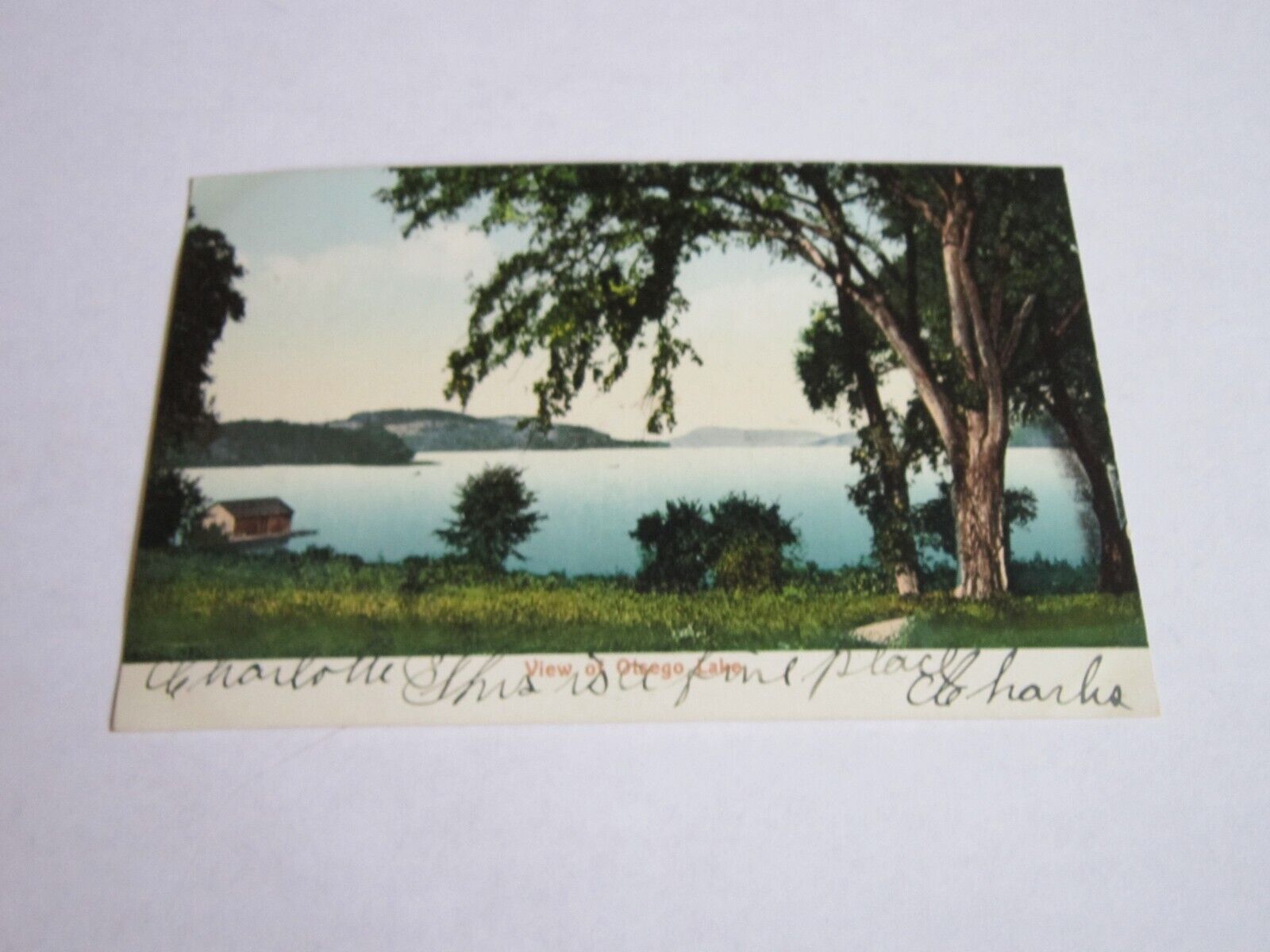 Vintage Postcard Otsego Lake NY Trees Boathouse Dock Water Cooperstown NY