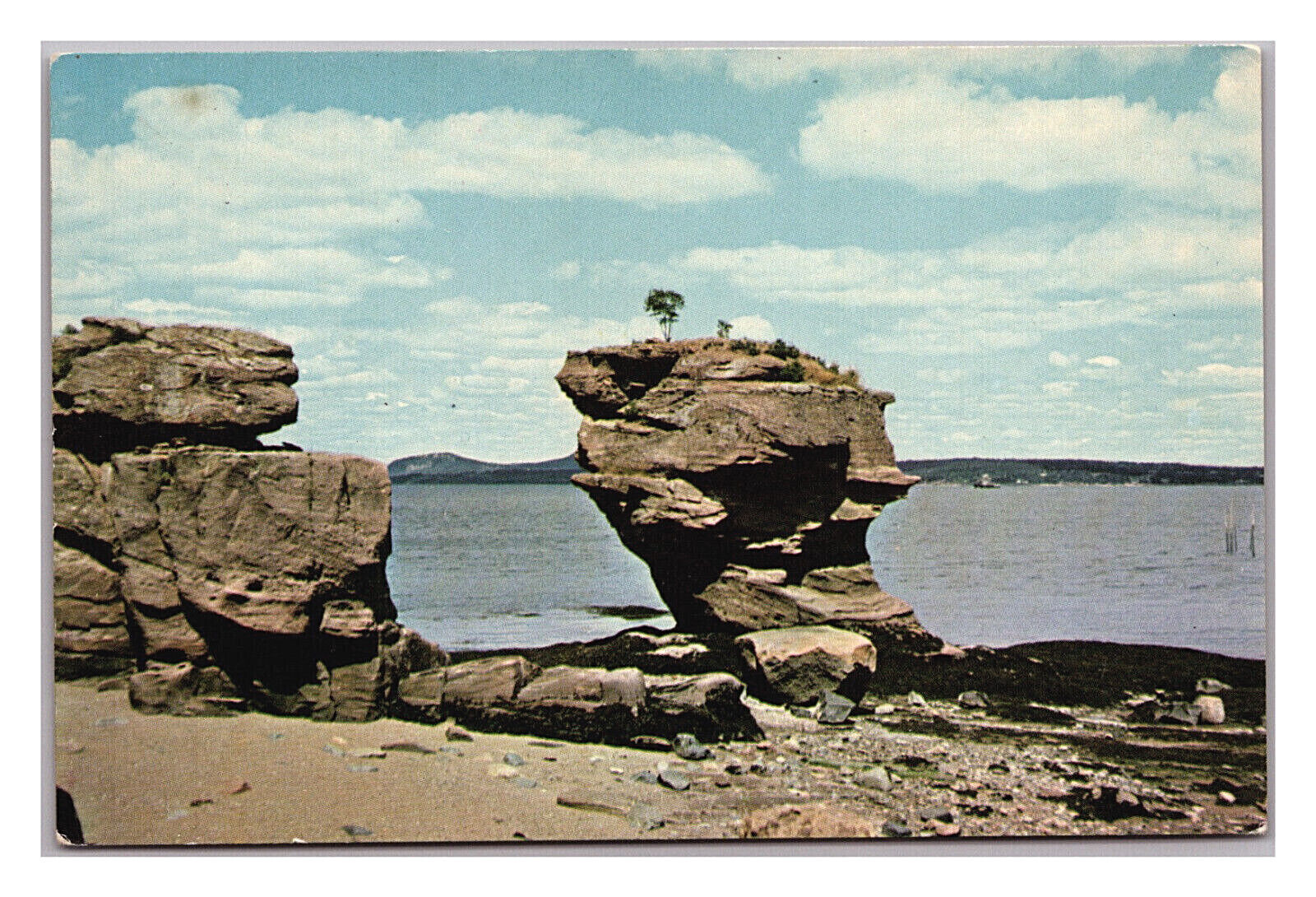 Postcard ME Pulpit Rock Stone Scenic Nature Water View Robbinston Maine 