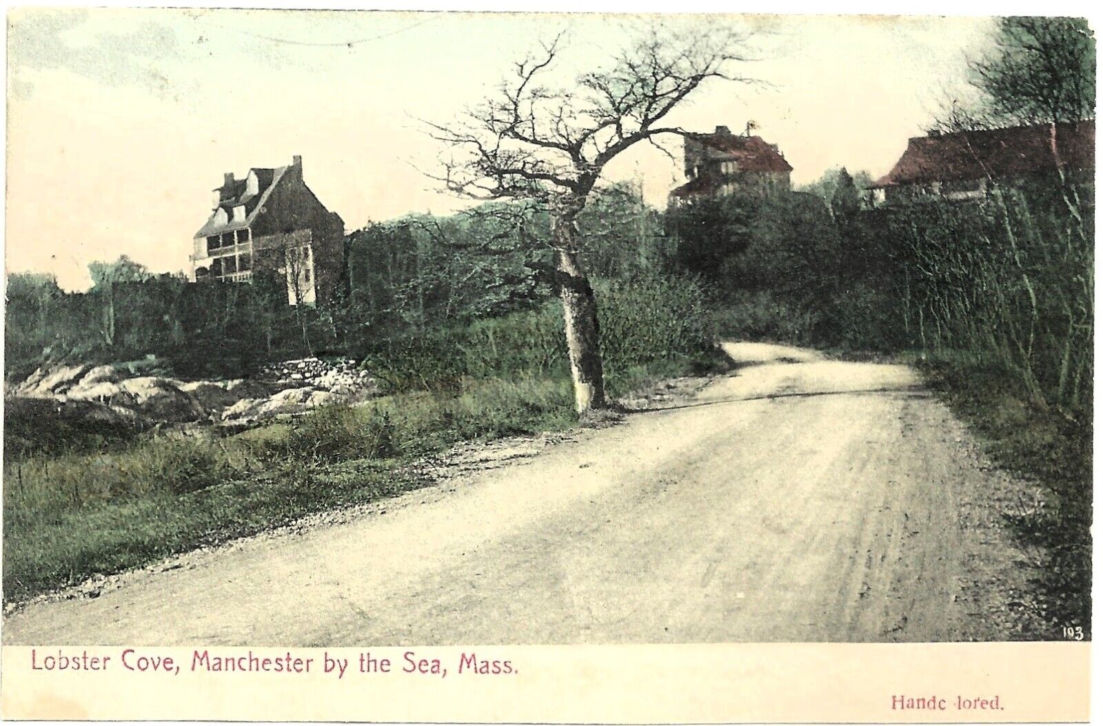 Manchester by the Sea, mass., postcard: Lobster Cove, hand colored