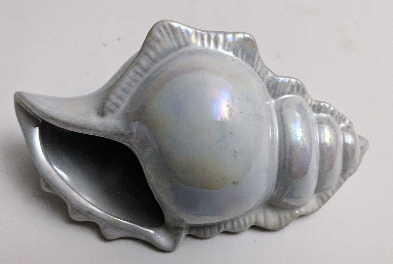Pier 1 Pearly Iridescent Conch seashell  6x3\