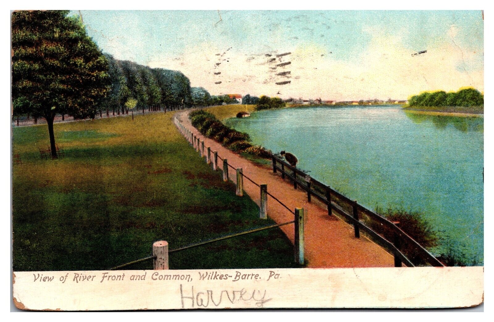 1908 View of River Front and Commons, Wilkes-Barre, PA Postcard