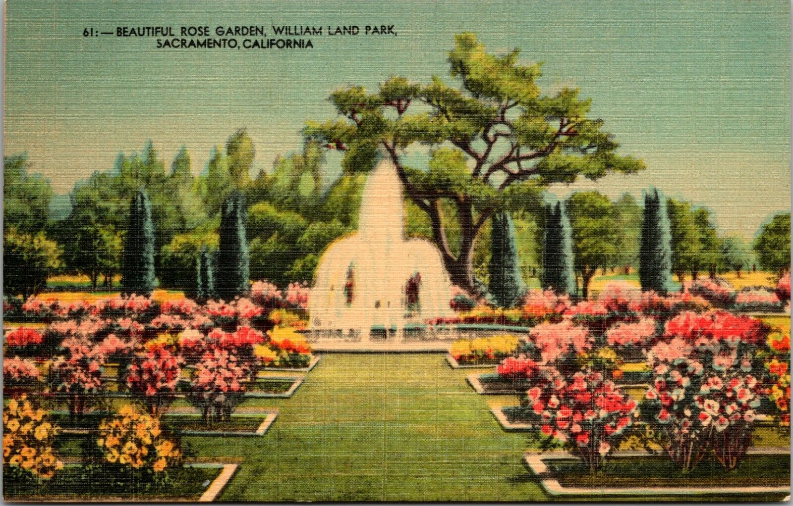 Sacramento California CA William Land Park Rose Garden Linen Vintage Postcard