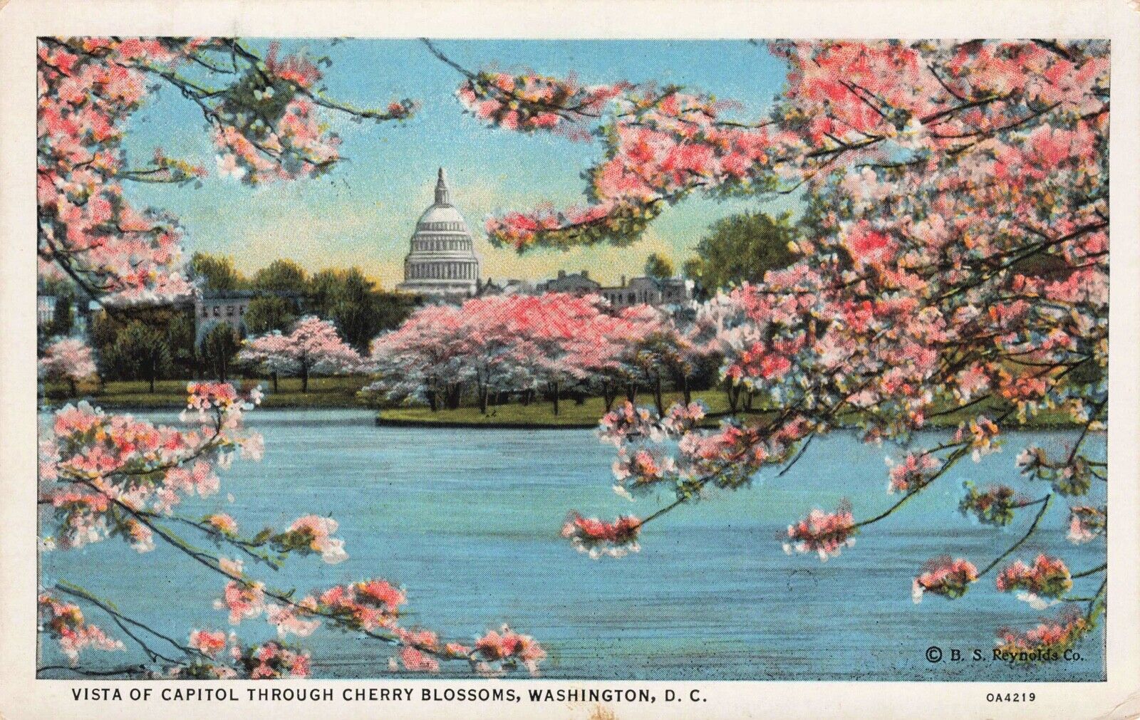 Vista of Capitol Through Cherry Blossoms, D.C. Vintage PC