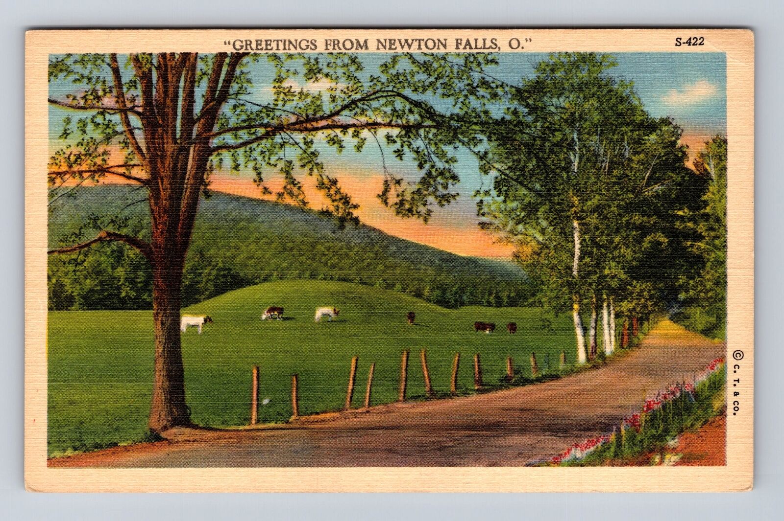 Newton Falls OH-Ohio, General Greetings, Road And Field, Vintage Postcard