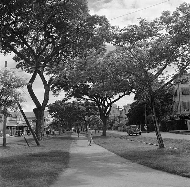 A Promenade As A Women Walks In Georgetown 1946 British Guyana OLD PHOTO
