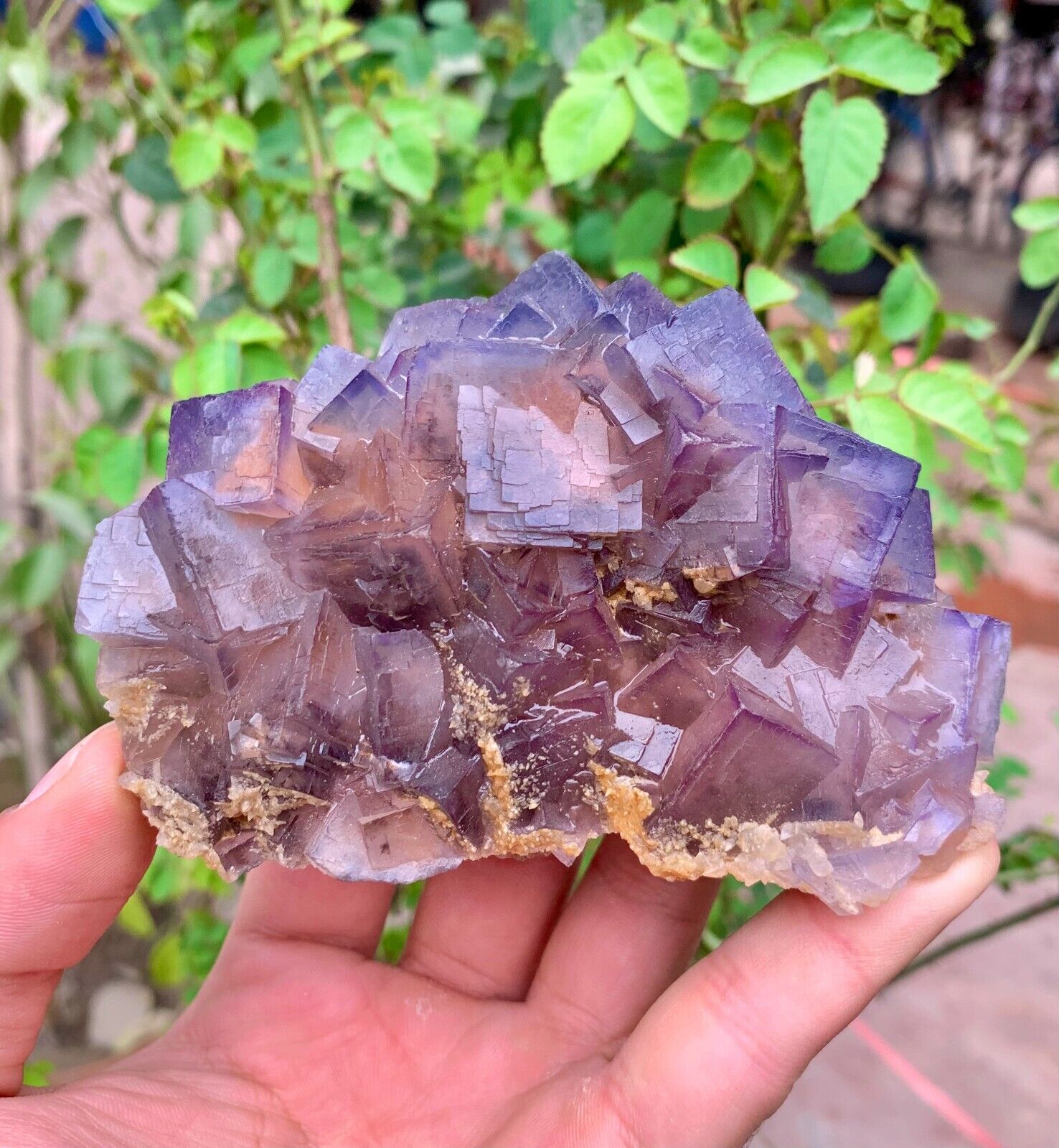 355 Gram very beautiful natural purplish cubic fluorite crystal specimen.