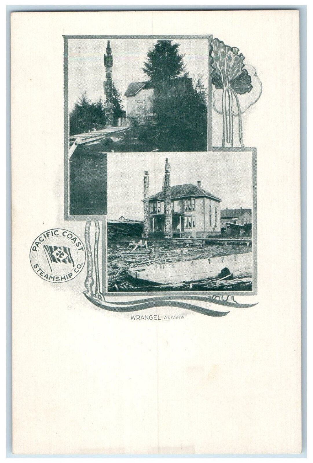 c1905 Wrangell Alaska Pacific Coast Steamship Co. Multiview Antique Postcard