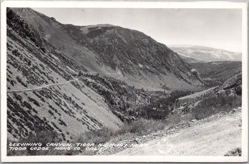 1940s California Postcard 