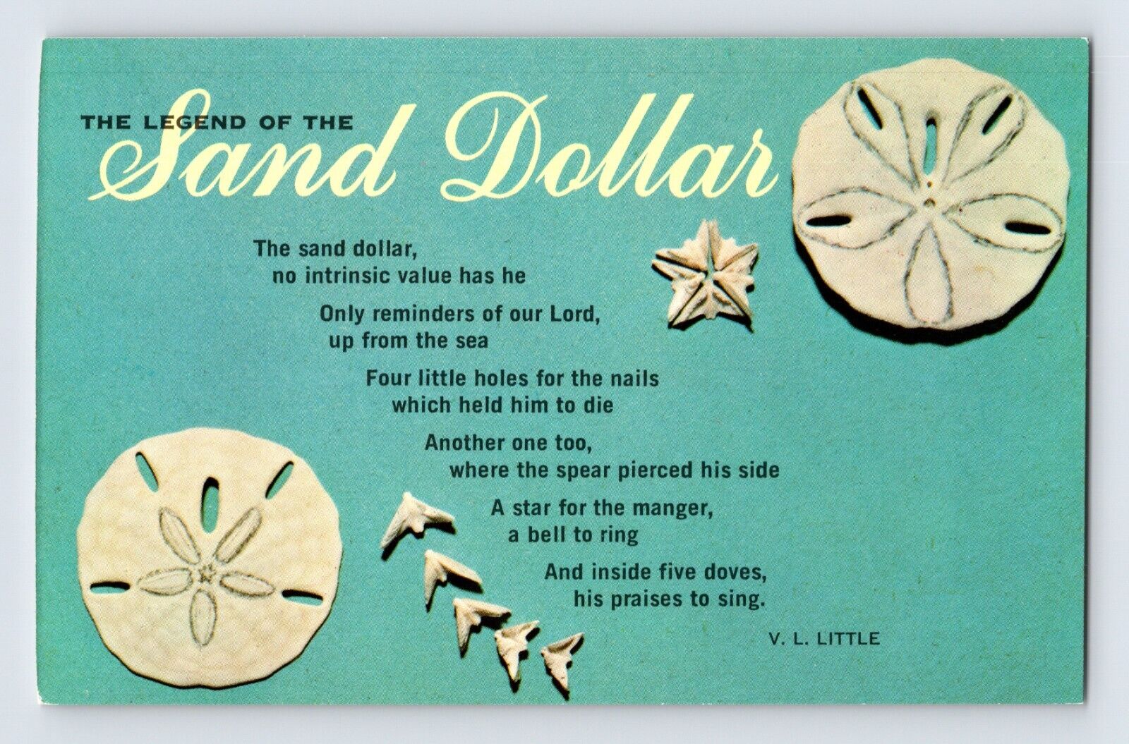 Postcard Florida Clearwater FL Sand Dollar Legend 1960s Unposted Chrome