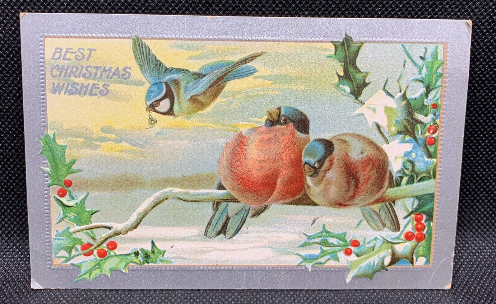 Vintage Christmas Postcard - Birds