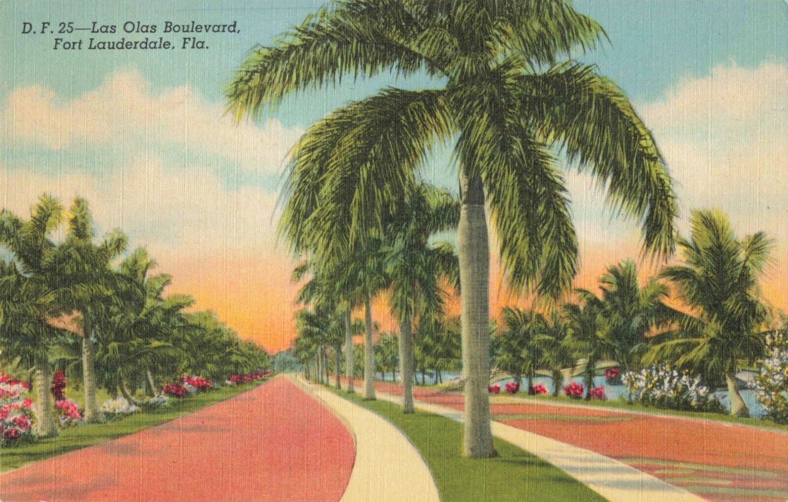 Fort Lauderdale Florida, Las Olas Boulevard Palms Flowers, Vintage Postcard