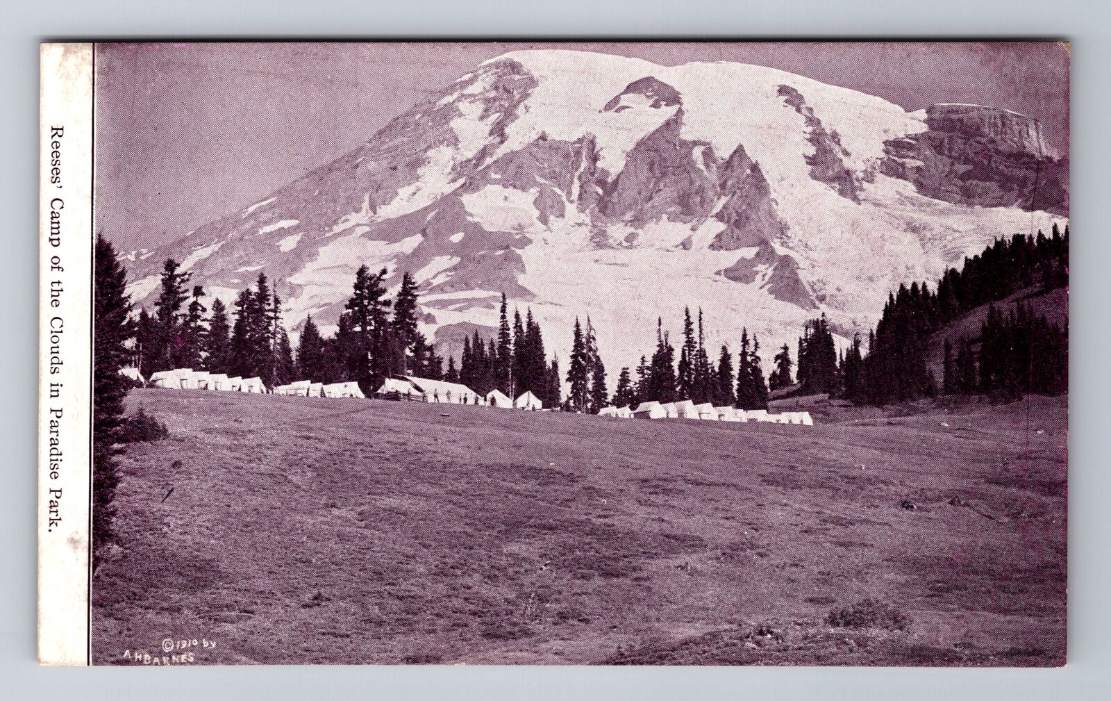 Paradise Park WA-Washington, Reeses Camp of the Clouds Vintage Souvenir Postcard
