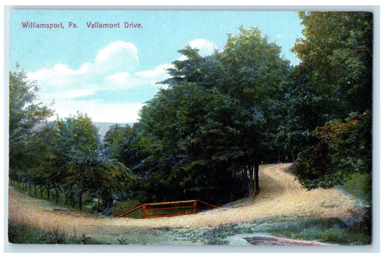c1910 Vallamont Drive Road Trees Exterior Williamsport Pennsylvania PA Postcard