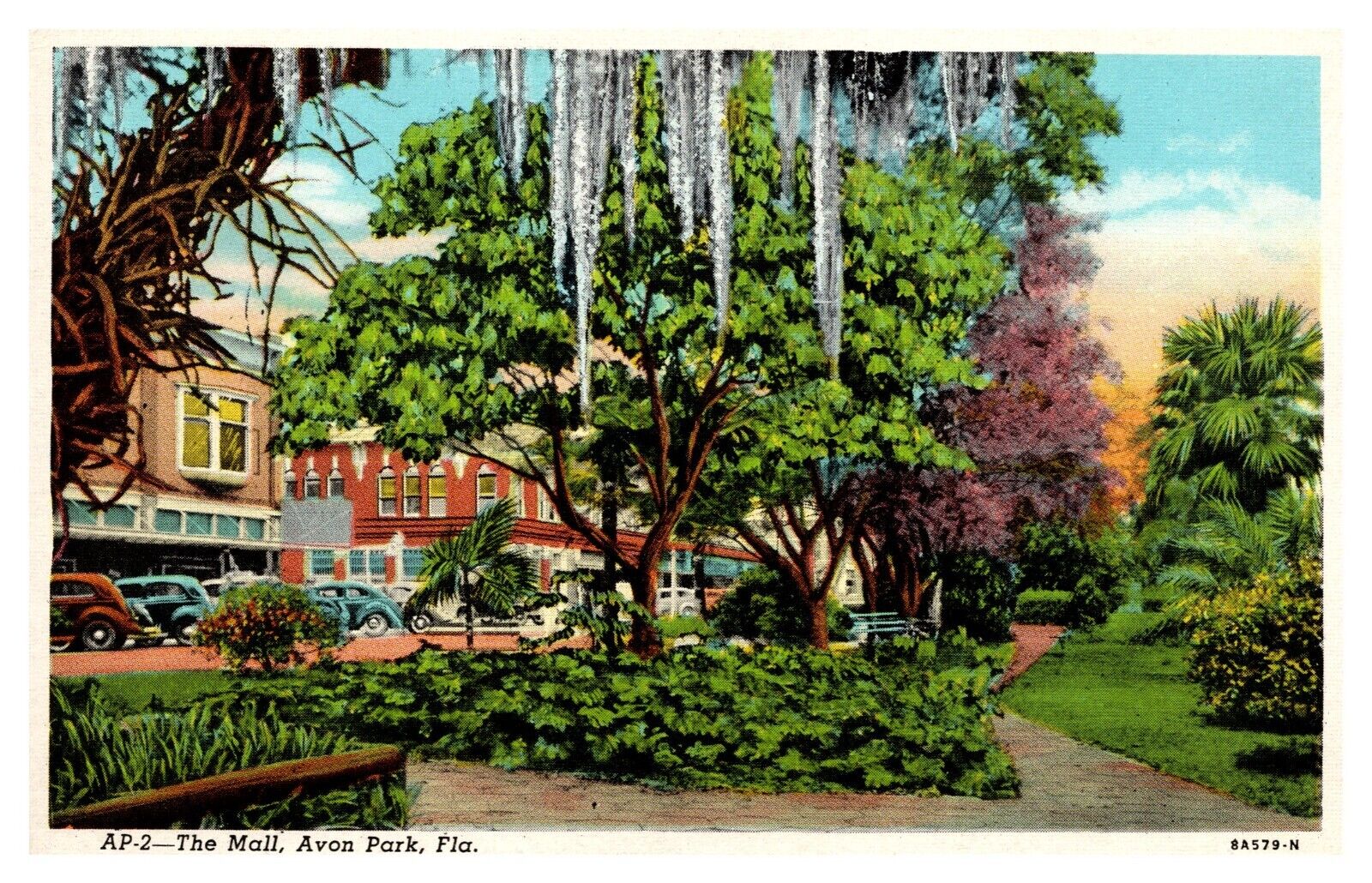 postcard The Mall Avon Park Florida A0714