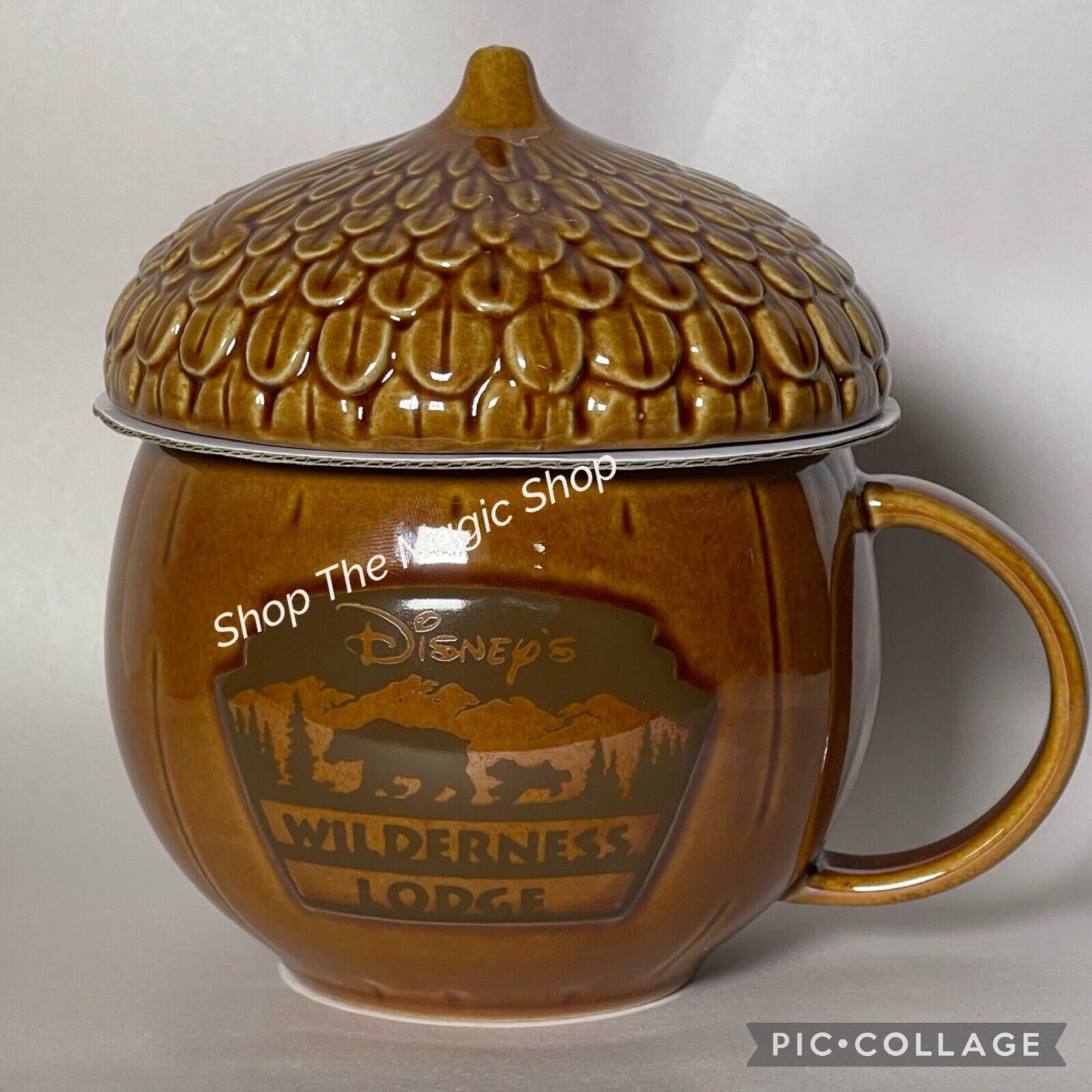 Disney World Wilderness Lodge Ceramic 16oz Acorn Coffee/Soup Cup Mug Lid 2023