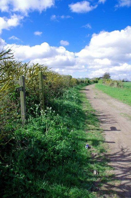 Photo 6x4 Green Lane Byway Newney Green South of Roxwell c2017